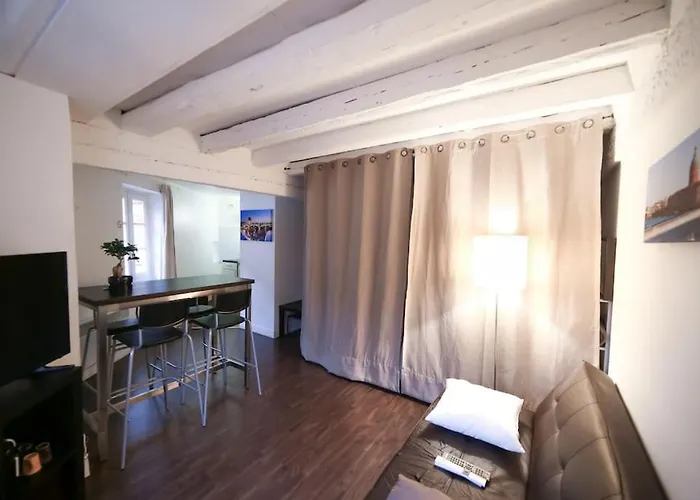 Apartament Hypercentre Capitole